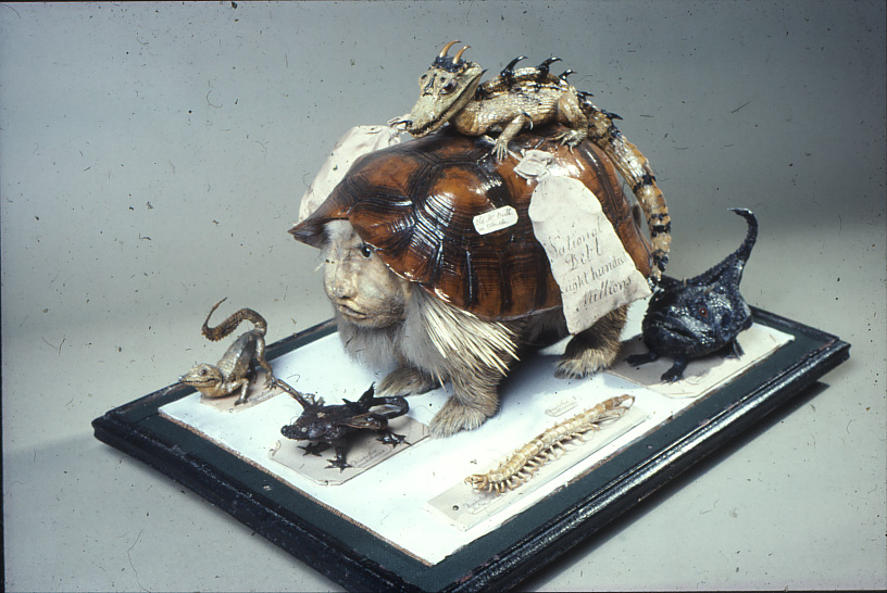 Wakefield Museums and Castles The Extraordinary Life of Charles