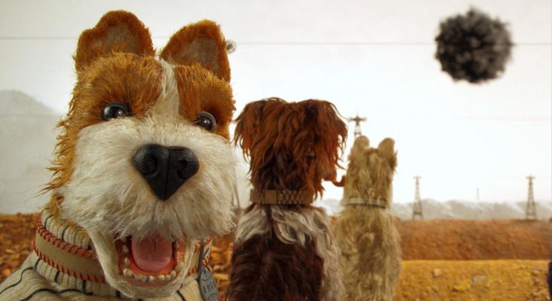 Resultado de imagen para Jason Stalman wes anderson