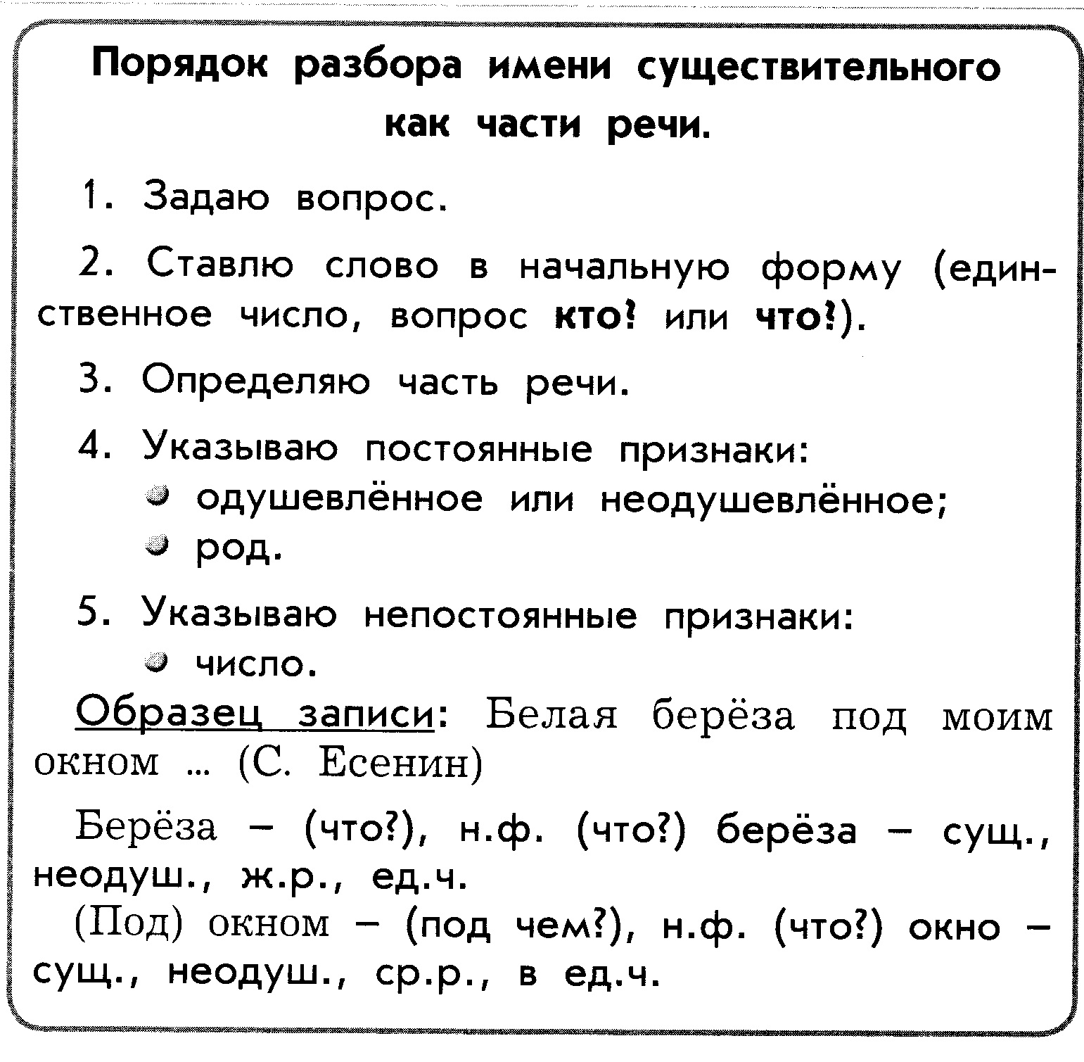 Разбор имени существительного в лесу