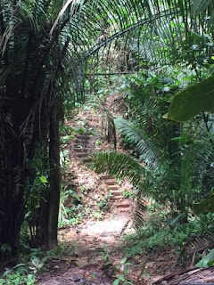 Remax Vip Belize: LOTS of steps