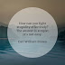 65 Stupid quotes that'll give cognizance of being foolish