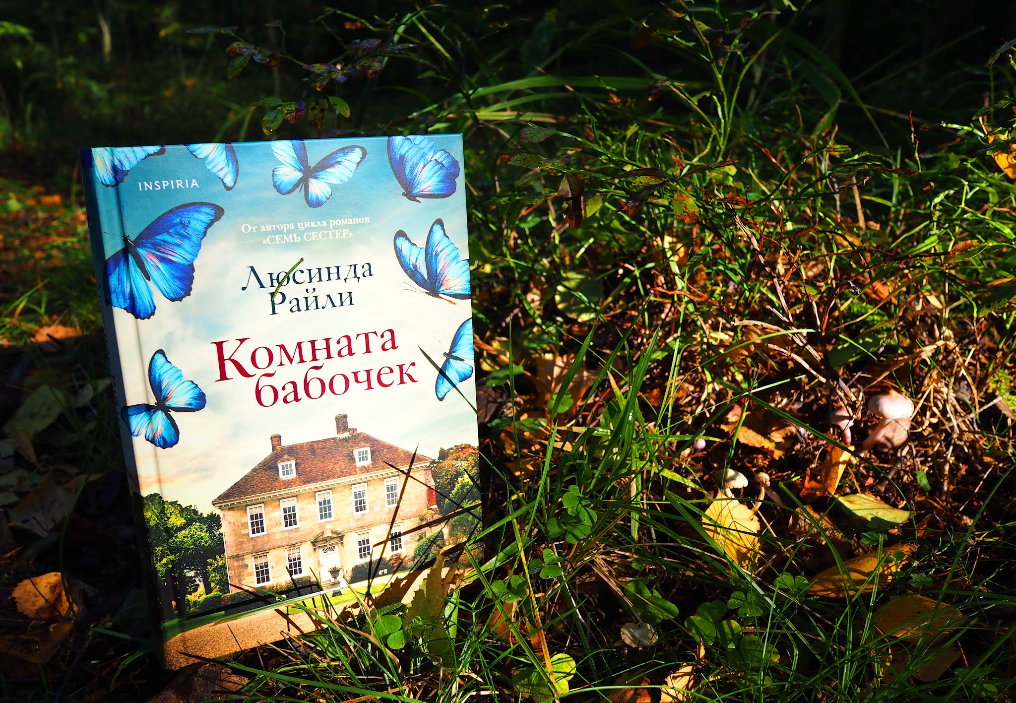 Комната бабочек Люсинда Райли книга