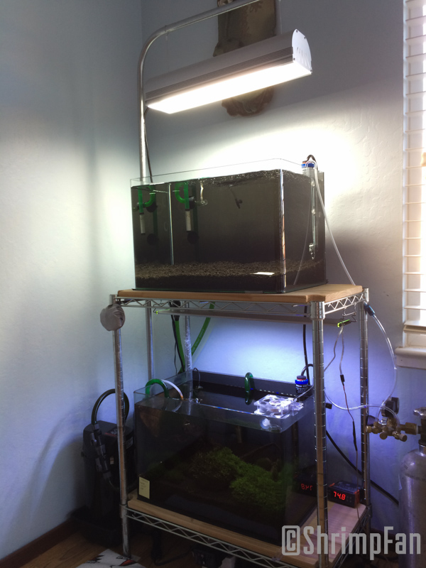 ShrimpFAN Inert Substrate Trail/Experiment pt.2