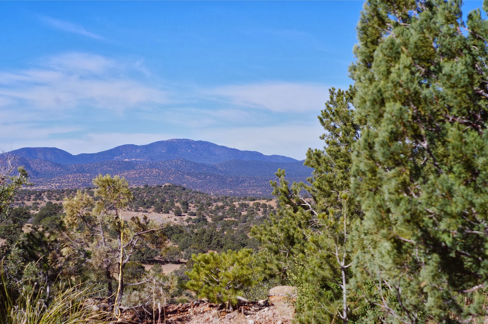 Southern New Mexico Explorer Humboldt Mountain Area Gila National Forest