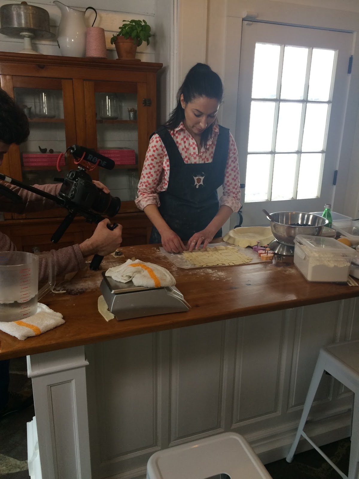 Sugar Glider Kitchen The Place to Learn to Bake