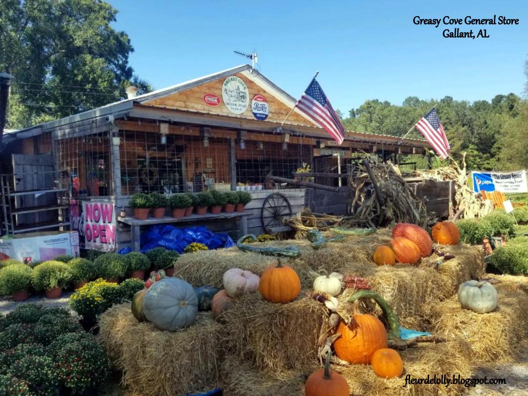 Fleur de Lolly Dining Out Southeast The Greasy Spoon, Gallant, AL