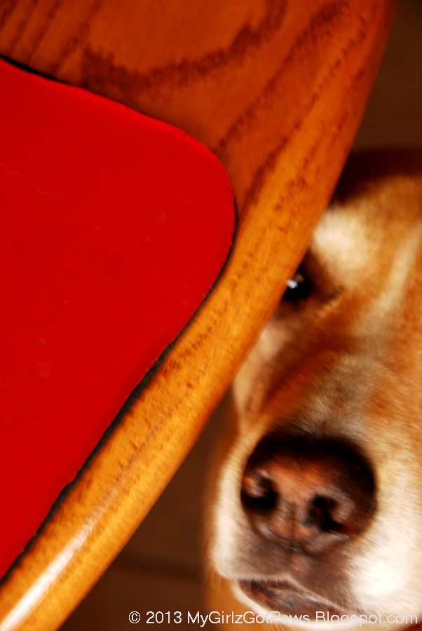 A shell in my pocket and waves at my feet... CHEETOS....I smell Cheetos!!