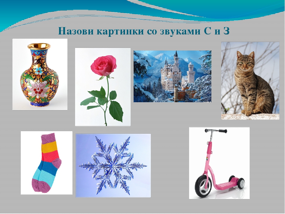 Картинки со звуком з и зь для детей