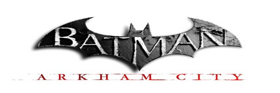 Batman Arkham City + Crack