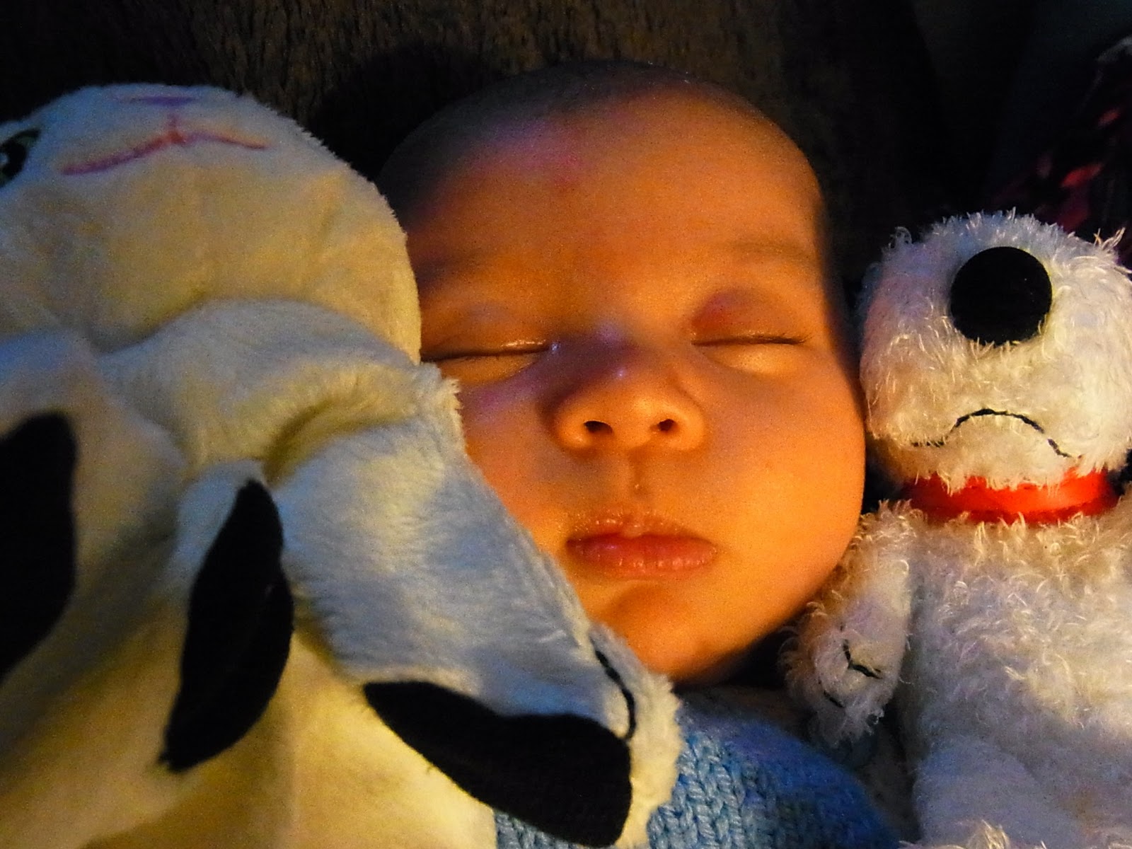 My baby Ada I knew babies sleep a lot.