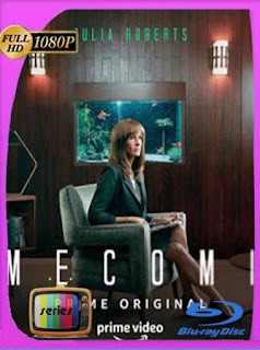 Homecoming Temporada 1 [1080p] Latino [GoogleDrive] SXGO