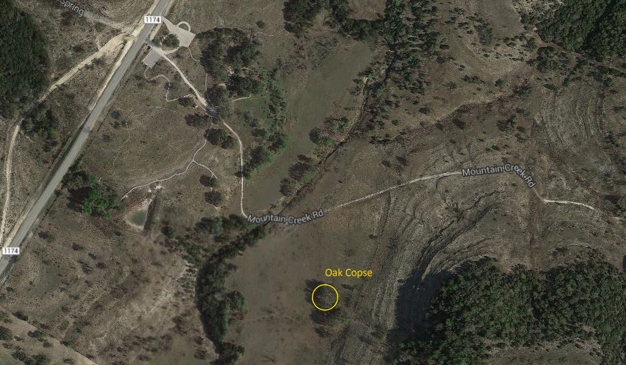 Edward Plumer: Finding Painted Buntings at Doeskin Ranch