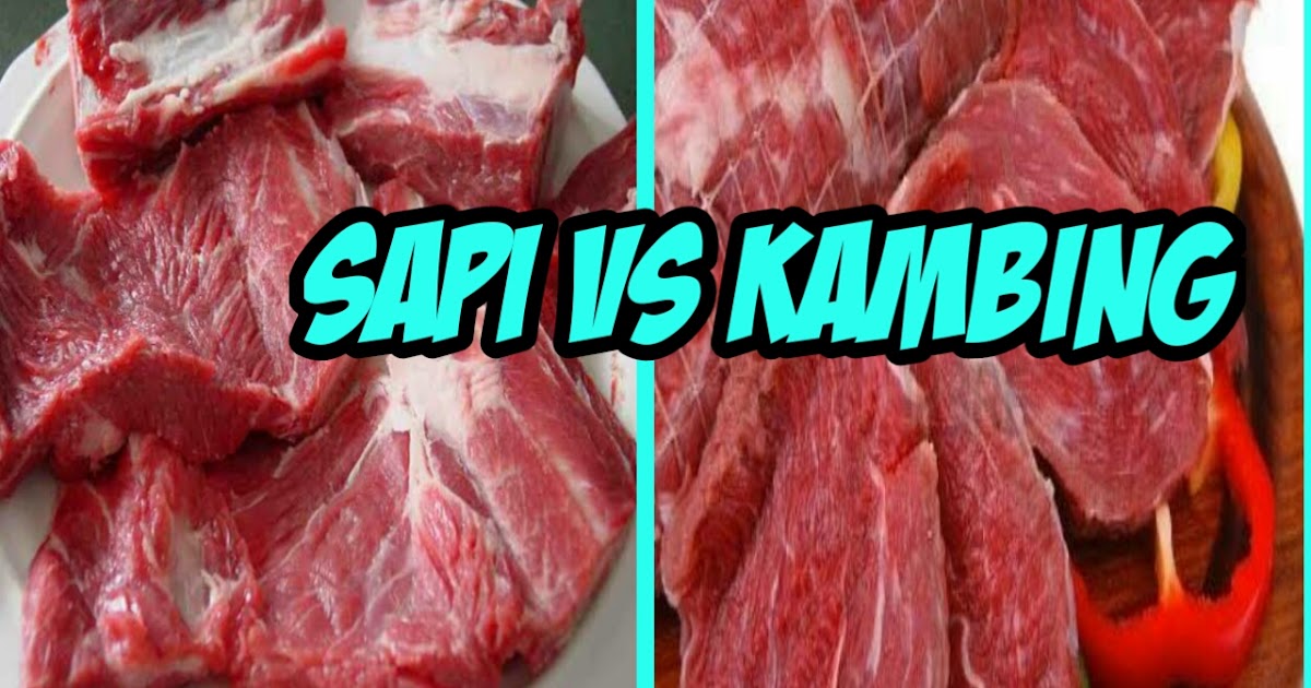 5 Perbedaan Daging Sapi Dan Kambing Ternyata Mudah - Irhan Hisyam