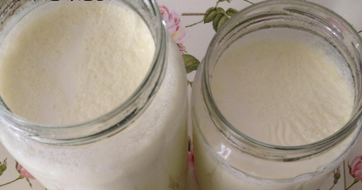 ANNE KEDİ Evde Yoğurt Yapımı 3 / AOÇ Yoğurt Sütü