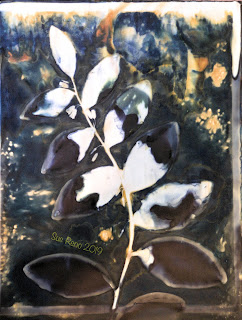 Wet cyanotype_Sue Reno_Image 622