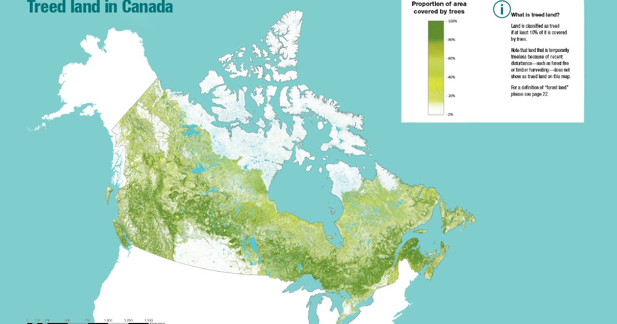 Replant.ca Environmental How Many Trees are Planted in Canada Each Year?