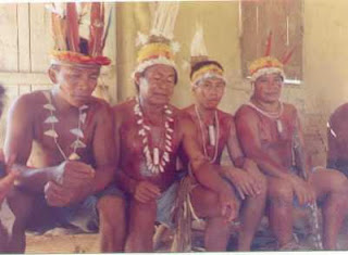 pueblos originarios