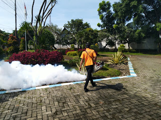 fogging nyamuk