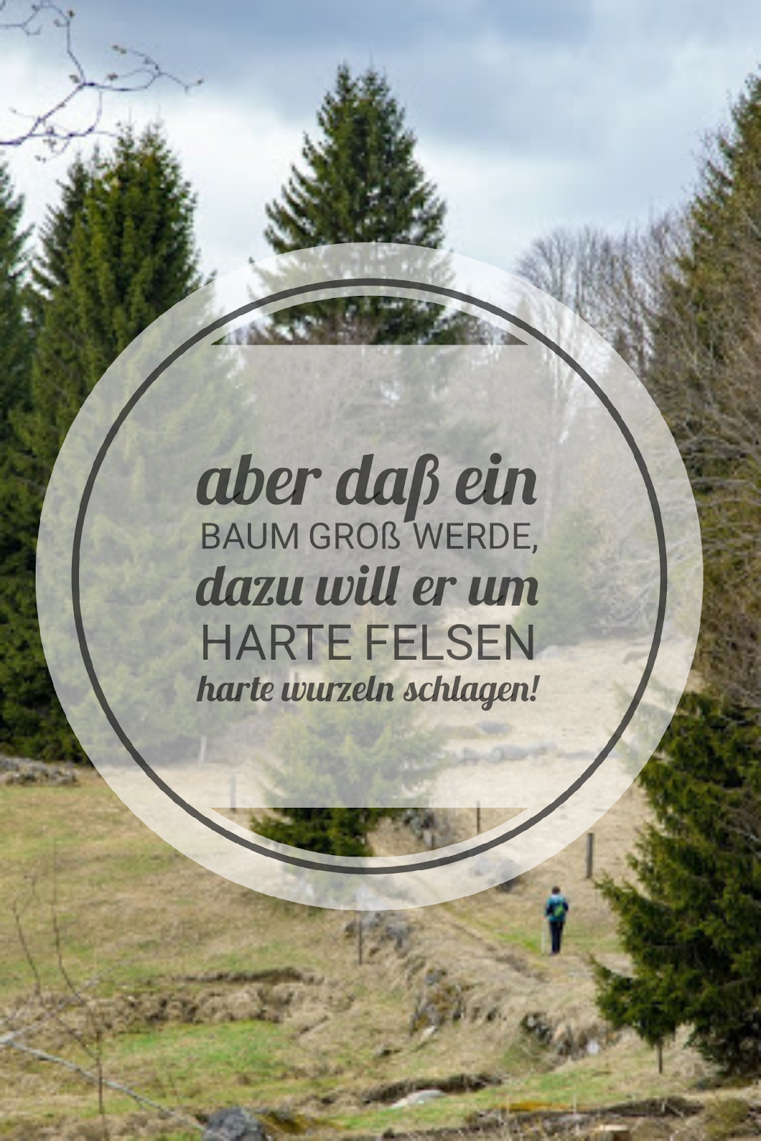 Hermann hesse zitate bäume.