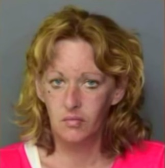 seorang wanita ditangkap karena melakukan hubungan sex ditengah jalan-1