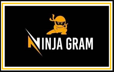 ninjagram download