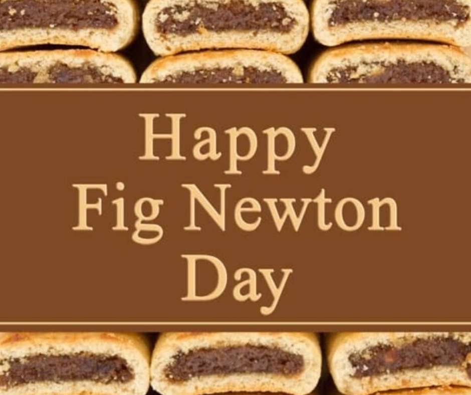 National Fig Newton Day Wishes Images Whatsapp Images