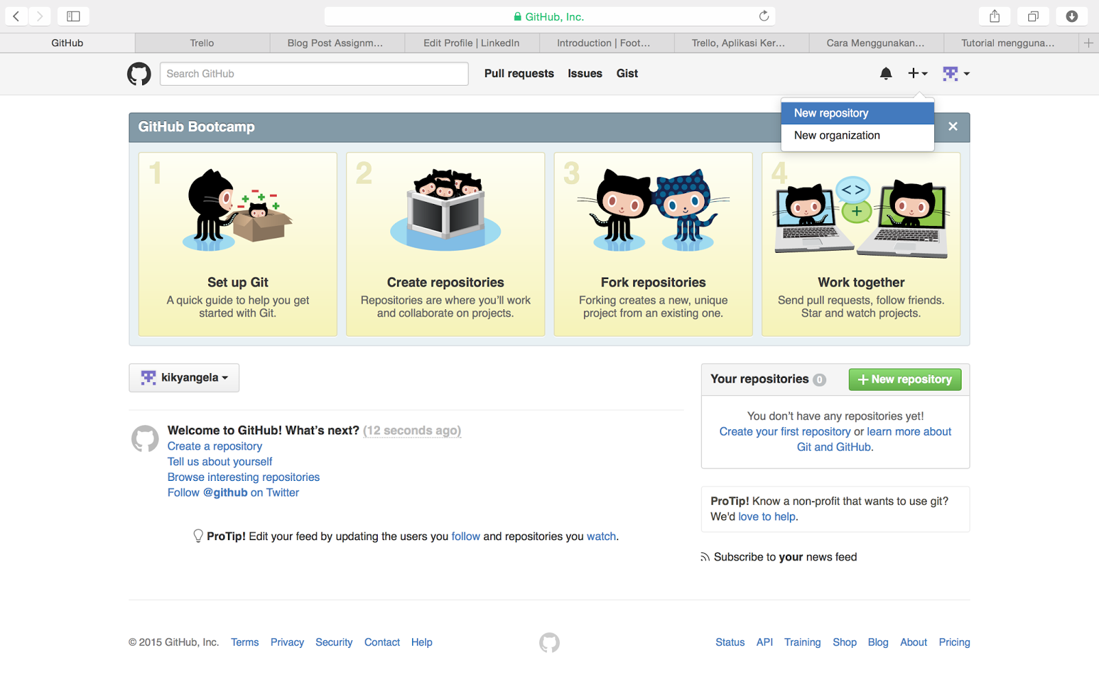 Provider flutter. Git octopus. Github. Гитхаб окно. Github картинка.