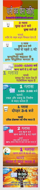 Best Time to Drink Water in Hindi