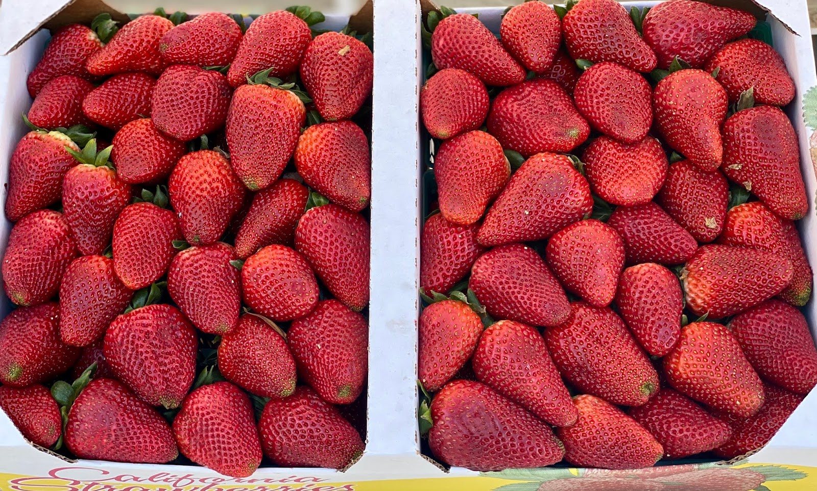 GREAT EATS HAWAII STRAWBERRY STAND CARLSBAD, CA