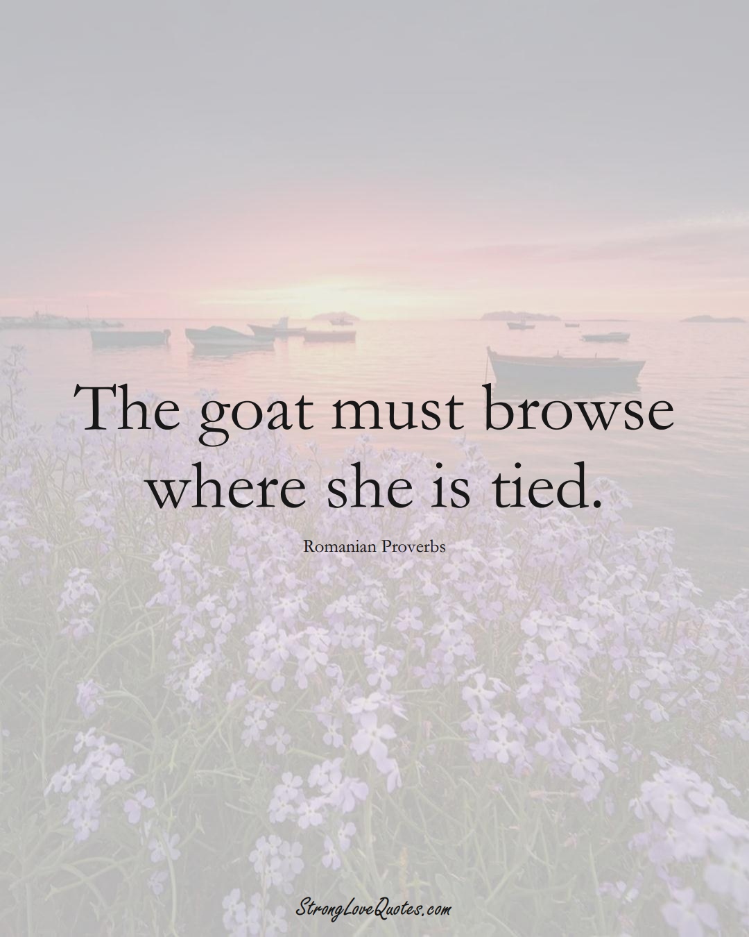 The goat must browse where she is tied. (Romanian Sayings);  #EuropeanSayings