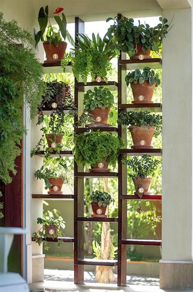 Creative Herb Garden Ideas for Indoors and Outdoors