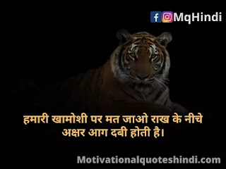 Tiger Quotes In Hindi