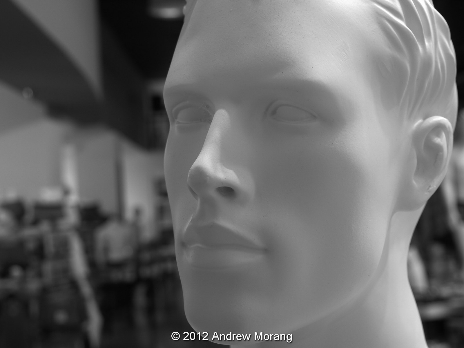 Urban Decay Urban nondecay Portland, Oregon