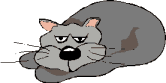 Animation Bundle: Animated Cats Jumping Playing and Running Around See