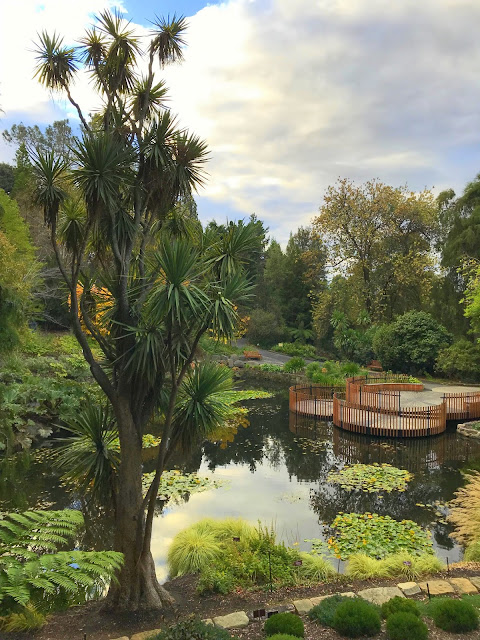Chinese Garden at the Royal Tasmanian Botanical Gardens