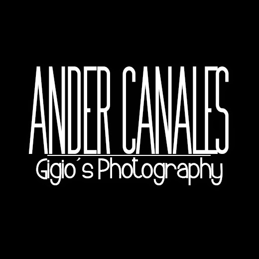 Ander Canales Viejo