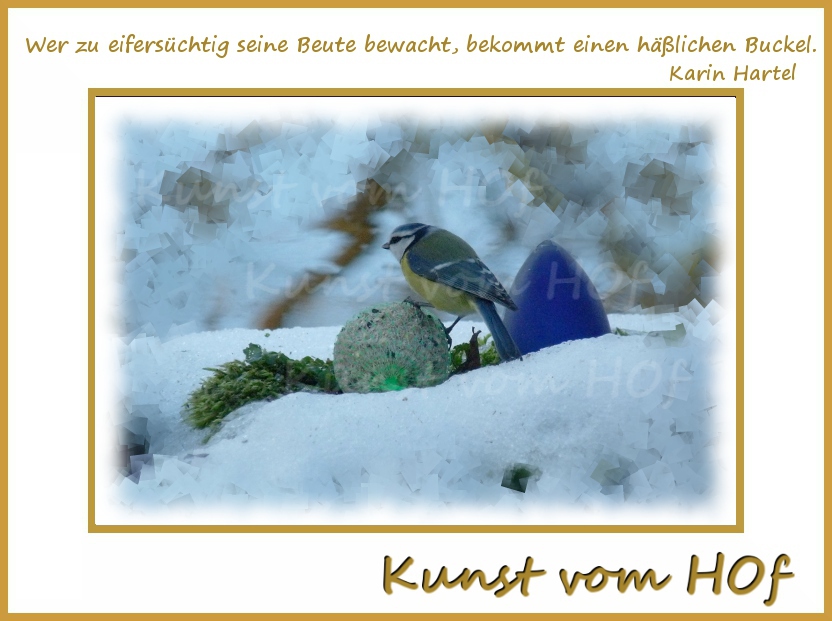 Kokelores Kunst Kitsch Katzen Karteikartenreiter Und