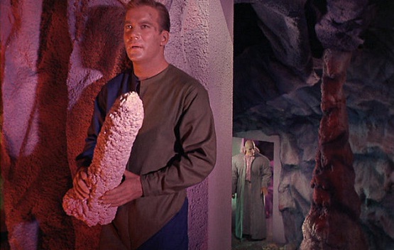 Phd dissertation picture