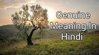 Genuine Meaning In Hindi