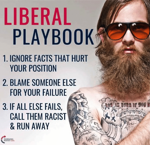 liberal-playbook-1-ignore-facts-that-hurt-your-position-2-5254180.png