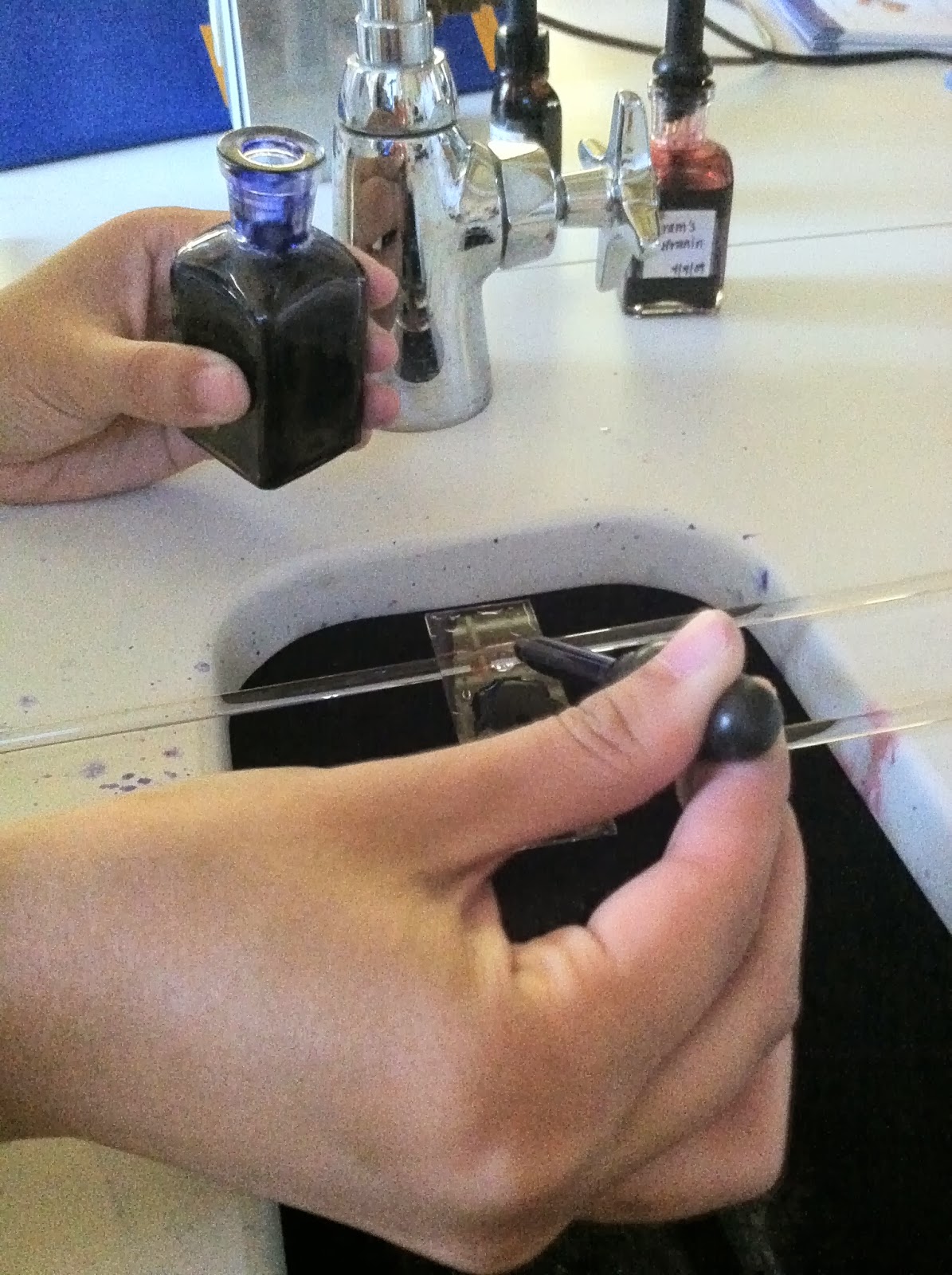 stain slide acid fast microbiology methylene lindsey medical rose letting flooding sit covered minutes then