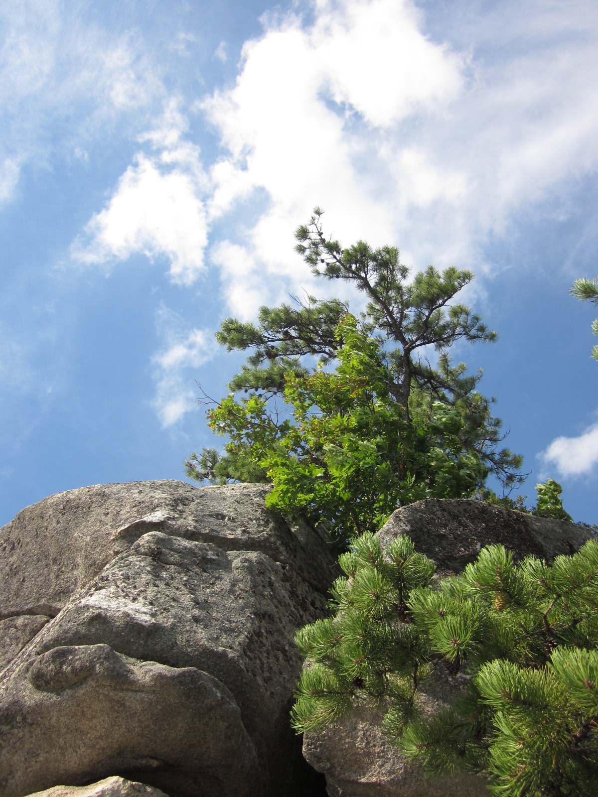 a life more awesome Frye's Leap, Raymond, ME