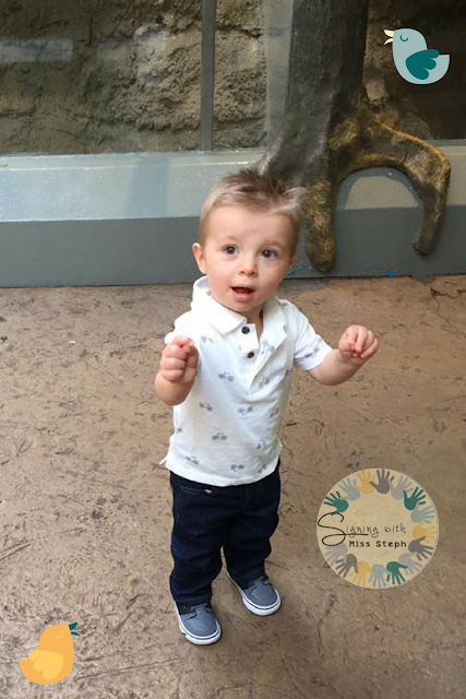 A toddler boy signs BIRD while looking at some animals at the zoo