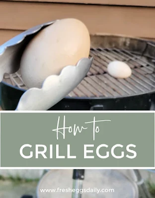 how to grill eggs