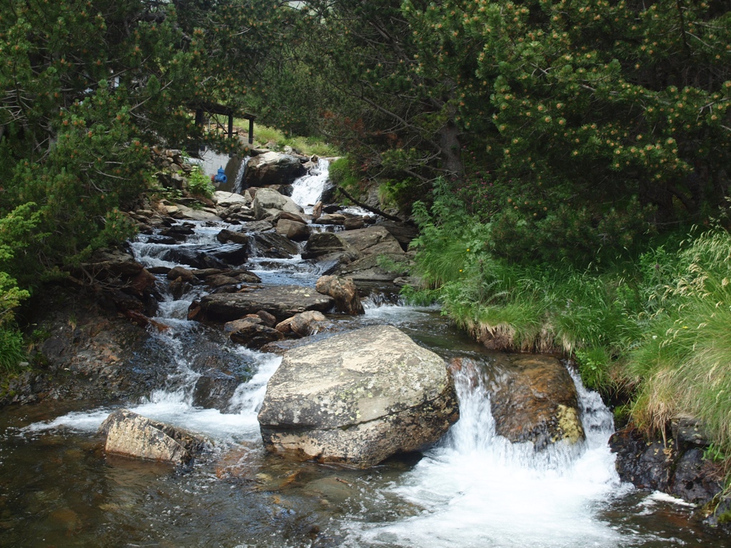 SOM DE PÍCNIC: Àrea recreativa (berenador) Vall de Ransol, Ransol ...