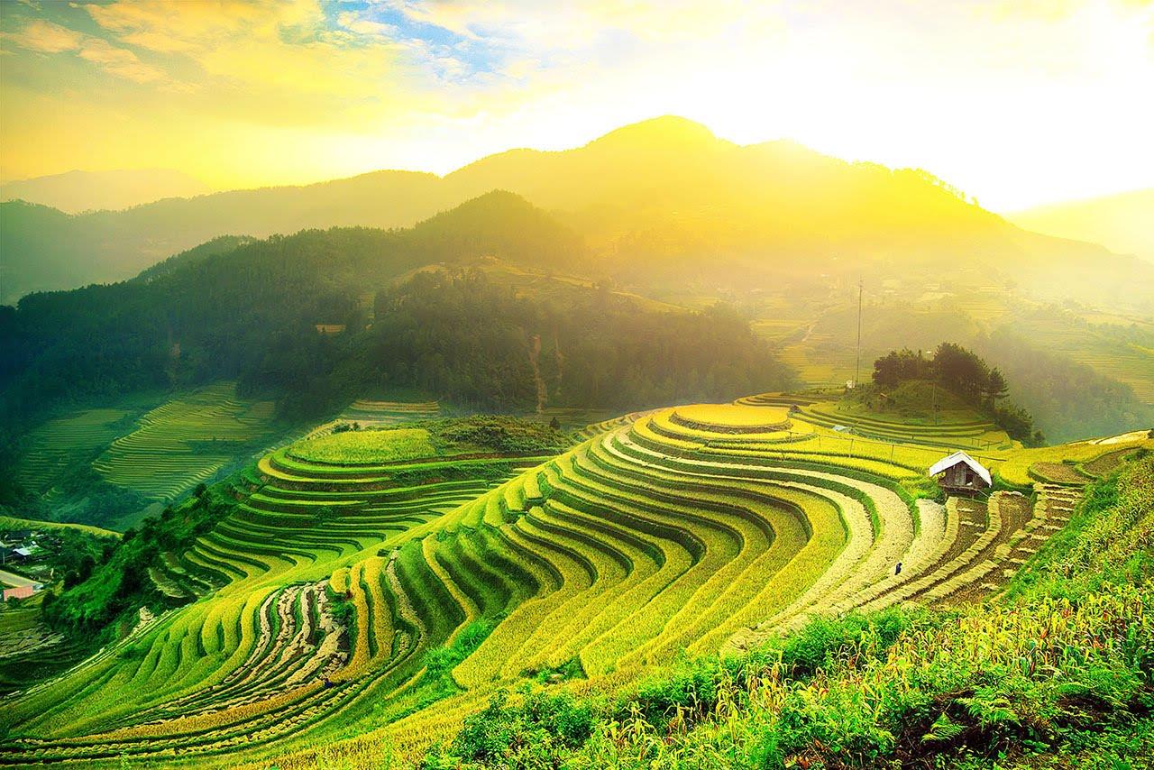 Chùm thơ hay họa ảnh Ruộng Bậc Thang tuyệt đẹp ở miền núi Tây Bắc mặt trời rọi sáng xuống ruộng bậc thang đẹp