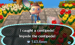 crossing animal leaf