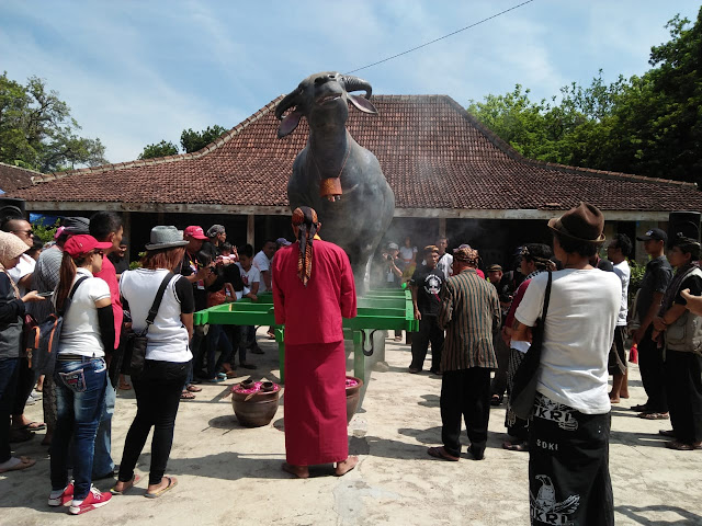 kebo ketan celebration