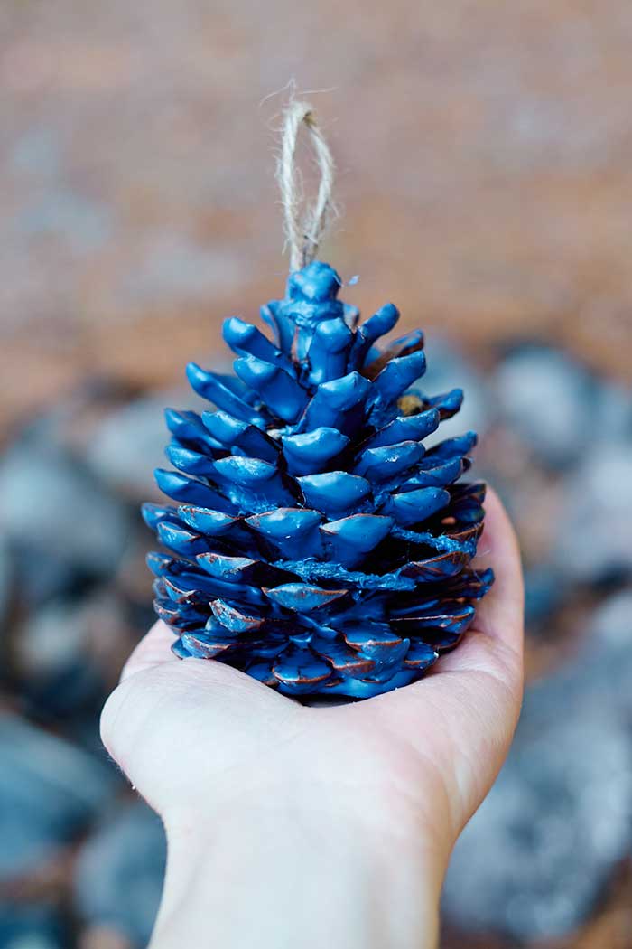 How to Make DIY Pine Cone Fire Starters Everything Pretty
