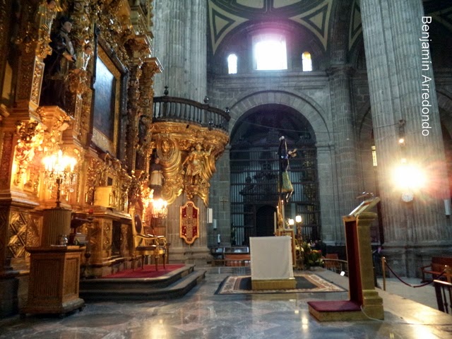 El Señor del Hospital: El Señor del Veneno, el Cristo Negro de la ...